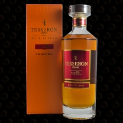 CARAFE COGNAC TESSERON LOT 90