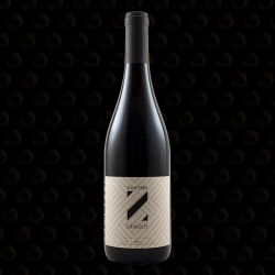 SANCERRE ROUGE DOMAINE DENIZOT