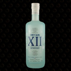 GIN XII 70 CL