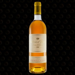 SAUTERNES YQUEM 97