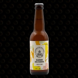 BIERE LES GAILLARDS BLONDE 33 CL